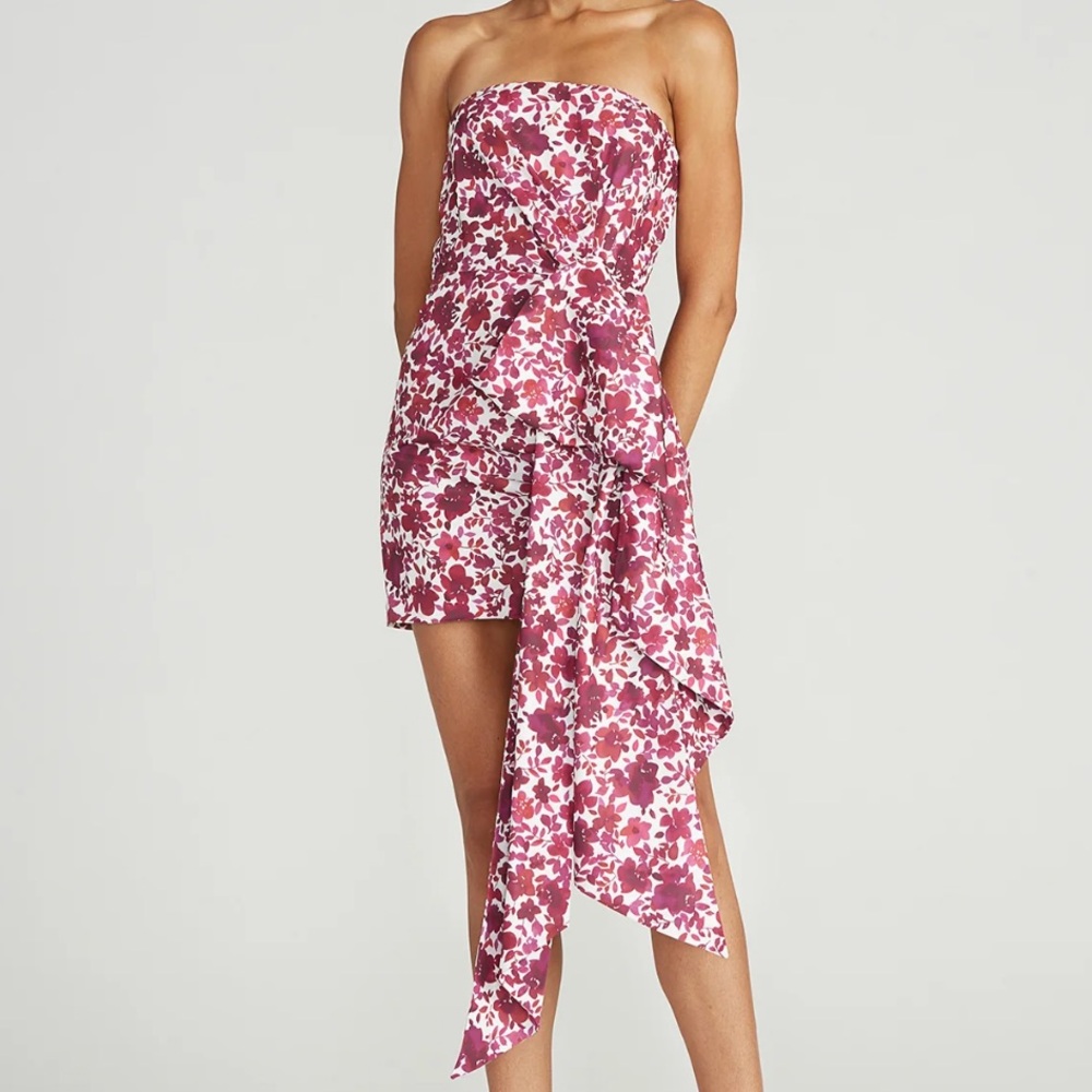 Amur Floral Pink Asymmetrical Dress
